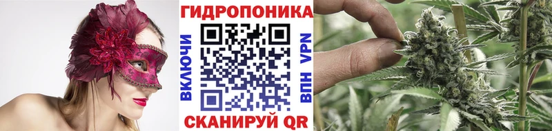 блэк спрут зеркало  что такое наркотик  Ува  Шишки марихуана конопля 